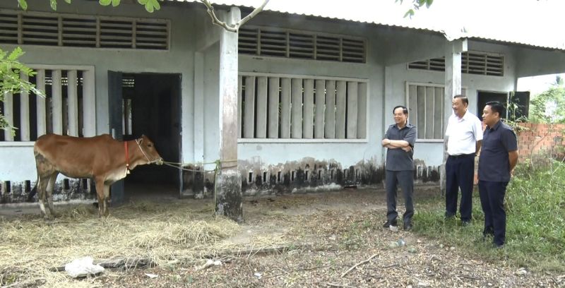 Tặng bò giống sinh sản cho hộ nông dân nghèo, hộ nông dân cận nghèo ở huyện Ba Tri để chăn nuôi, phát triển kinh tế gia đình