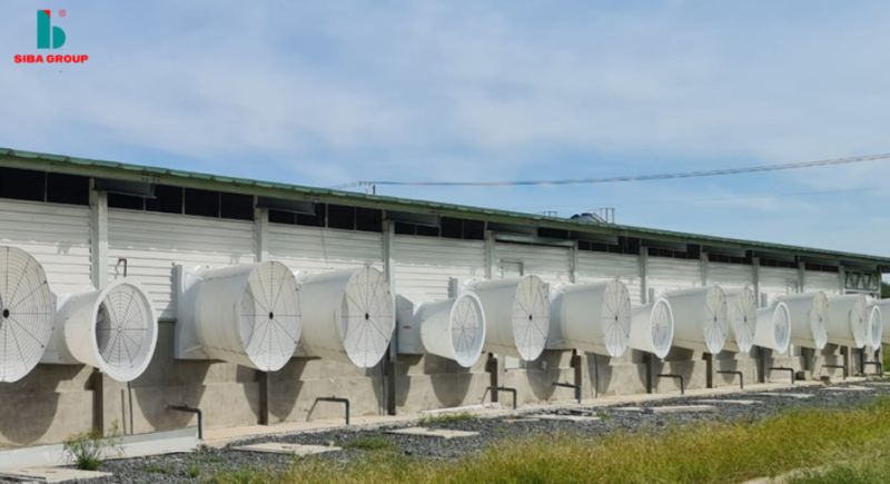 Vừa niêm yết được hơn 1,5 tháng, Siba Group (SBG) muốn huy động vốn từ cổ đông để trả công nợ đến hạn