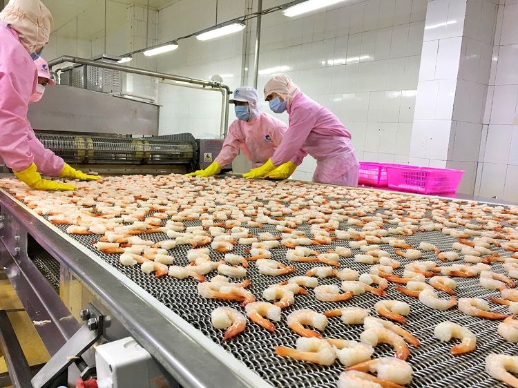 Năm 2024, thị trường Châu Âu vẫn là chủ lực trong chính sách xuất khẩu hàng hóa