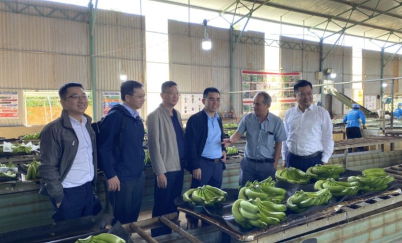 Hoàng Anh Gia Lai (HAG) điều chỉnh phương án phát hành riêng lẻ, Chứng khoán LPBank khẩn trương huy động vốn để tham gia