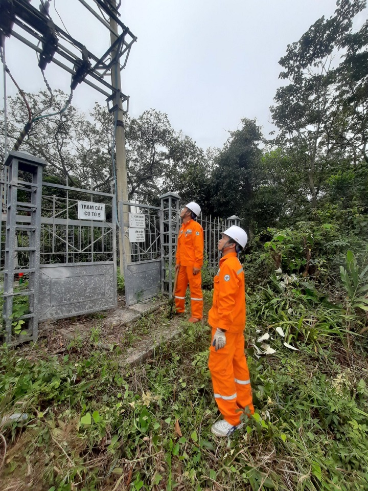 Công nhân Điện lực Vân Đồn thường xuyên ra đảo kiểm tra lưới điện