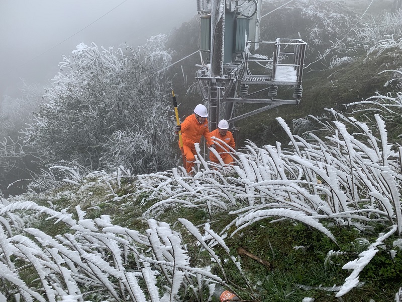 Đỉnh Mẫu Sơn xuất hiện băng giá khiến cho nhiều đường dây, lưới điện và trạm biến áp bị bám đọng băng