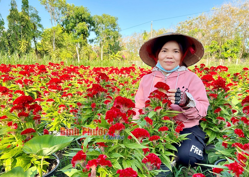 Niềm vui của người trồng hoa Tết