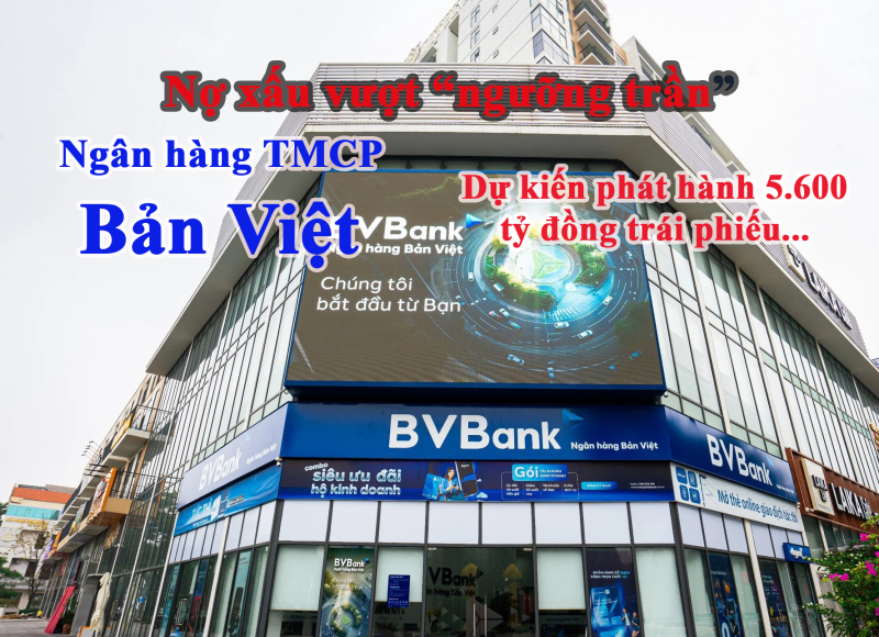 Gam màu sáng tối trong bức tranh mang thương hiệu BVBank – Ngân hàng TMCP Bản Việt