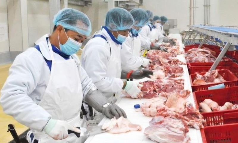 Quý IV/2023, BaF Việt Nam (BAF) ghi nhận lỗ 29,46 tỷ đồng