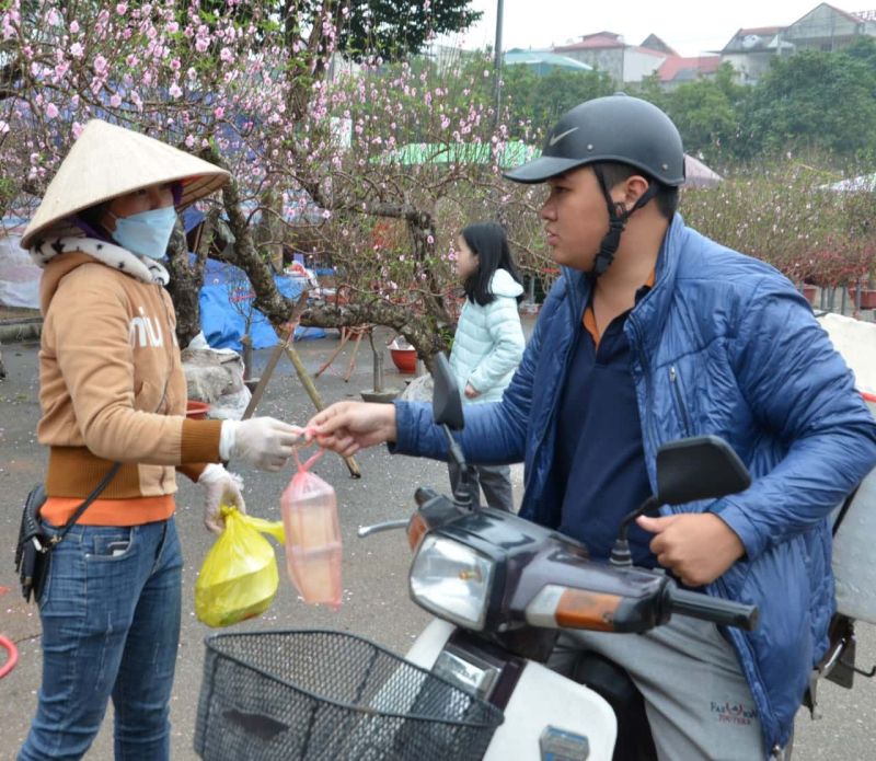 Chợ hoa Tết lớn nhất Ninh Bình: Người lao động tự do vất vả mưu sinh