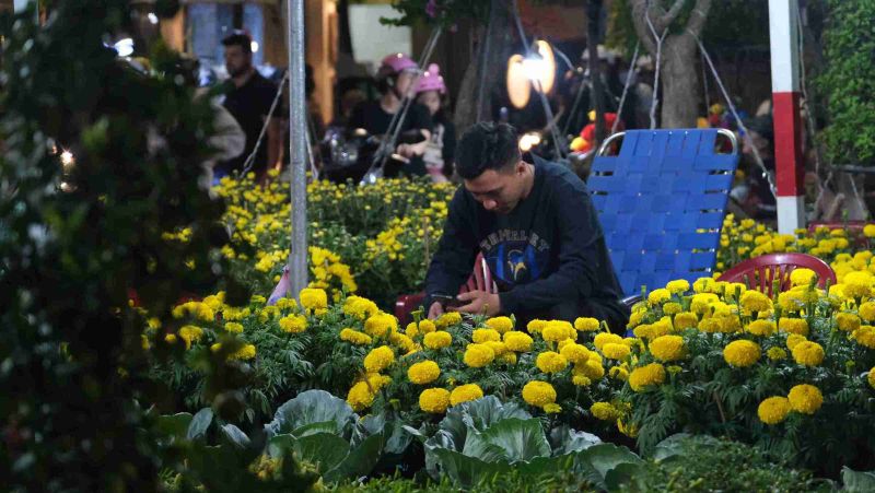 TP. Cần Thơ: Bán hoa Tết thời 4.0, nhà vườn vơi nỗi lo phí mặt bằng