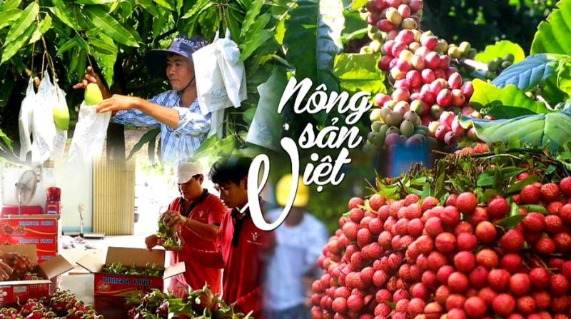 Nông sản Việt Nam đang có rất nhiều cơ hội trên thị trường quốc tế