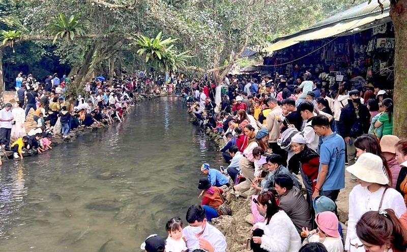 Rất đông du khách đổ về Khu du lịch Suối cá Cẩm Lương để du xuân.