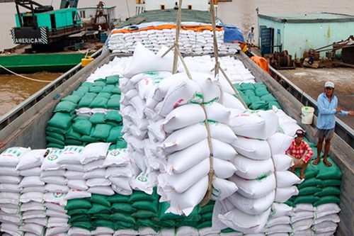 Việt Nam không chỉ dẫn đầu về xuất khẩu lúa gạo mà còn chuyển đổi sang lúa gạo chất lượng cao, phát thải thấp (Ảnh minh hoạ)