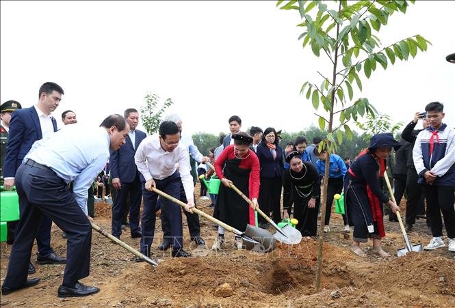 Chủ tịch nước Võ Văn Thưởng và các đại biểu tham gia trồng cây tại Lễ phát động Tết trồng cây “Đời đời nhớ ơn Bác Hồ” Xuân Giáp Thìn 2024. Ảnh: Dương Giang/TTXVN