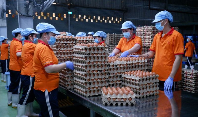 Chuyển đổi số nông nghiệp: Tăng tốc để bắt kịp tăng trưởng xanh