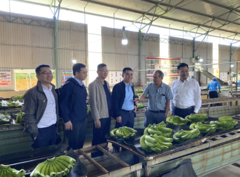 Uỷ ban Chứng khoán Nhà nước thông qua hồ sơ chào bán 130 triệu cổ phiếu của Hoàng Anh Gia Lai (HAG)