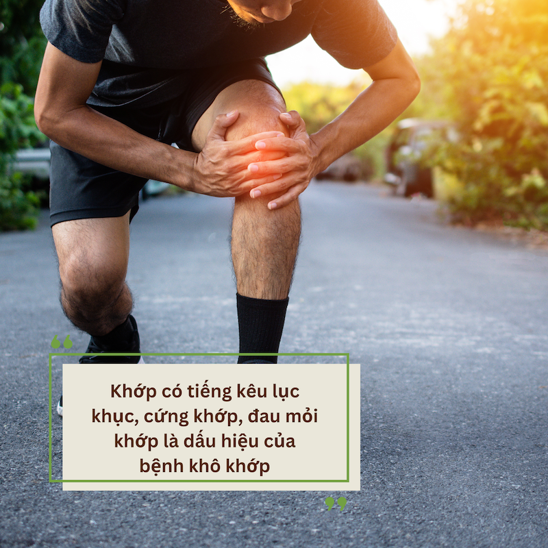 Dấu hiệu của bệnh khô khớp và giải pháp cải thiện từ Cốt Wells