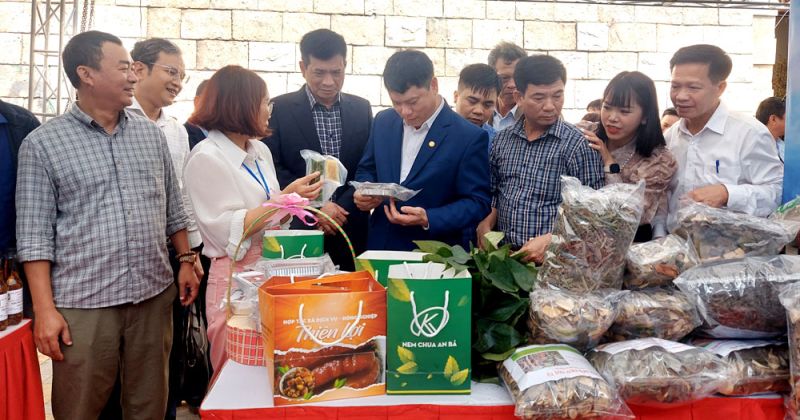 Rất đông du khách thăm quan, mua sản phẩm OCOP đặc trưng của huyện Sơn Động.