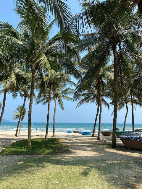 Bãi biển Mỹ Khê với những hàng dừa cho bóng mát dưới ống kính khách quốc tế. Ảnh: Tripadvisor