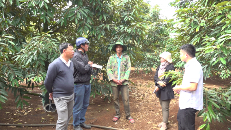 Đắk Lắk: Đồng bào dân tộc thiểu số ứng dụng KHKT nâng cao hiệu quả sản xuất