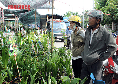 Hậu Giang: Năm 2024, thực hiện ít nhất 8 cuộc thanh tra trong lĩnh vực vật tư nông nghiệp