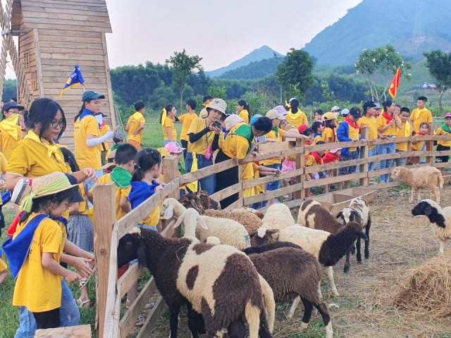 Khu du lịch tự phát Đồi Cừu trên rừng Hải Vân, đón cả trăm lượt khách. Đó là chưa kể đến ngày lễ, Tết…