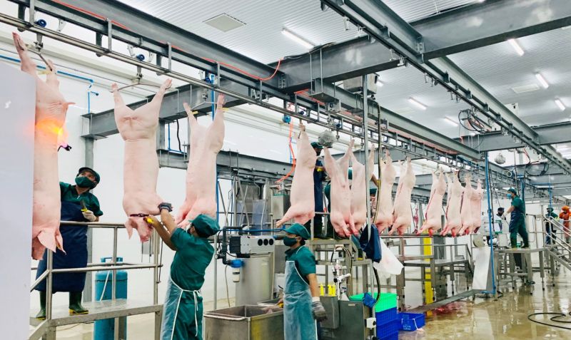 Về việc tìm đối tác thu mua đầu lòng heo tại Xí nghiệp Thực phẩm Sagri