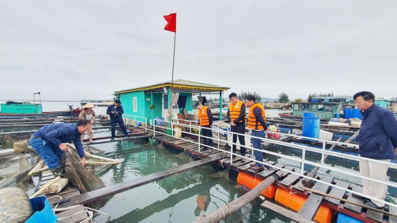 Hạ Long yêu cầu xử lý tiêu hủy theo quy định đối với các phương tiện thủy không có đăng ký, đăng kiểm