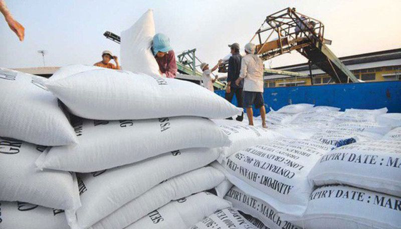 Khuyến nghị đáng lưu ý từ các thương vụ xuất khẩu gạo đầu năm