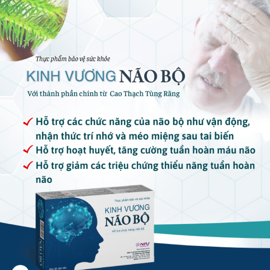 Kinh Vương Não Bộ - Não bộ khỏe mạnh, trí nhớ tinh thông, không lo di chứng