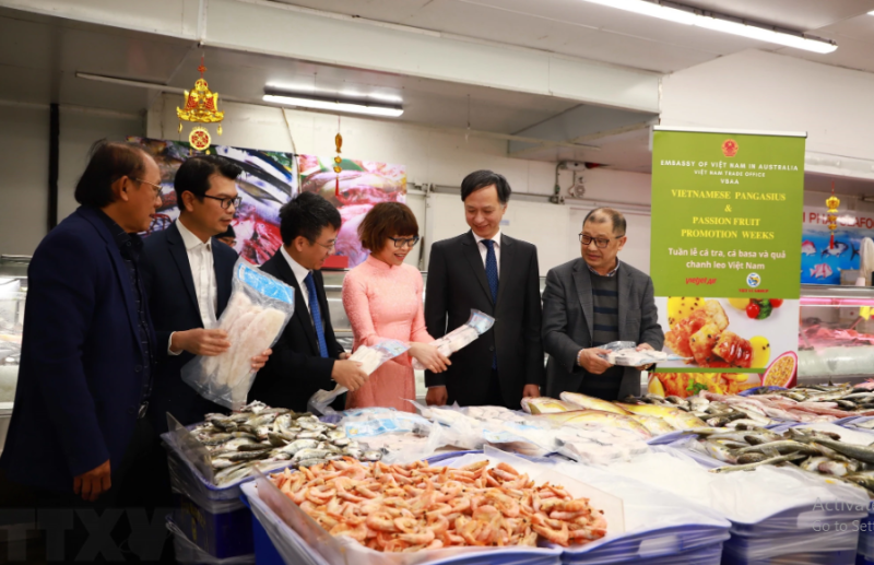 Đại sứ Nguyễn Tất Thành tại Lễ phát động Chương trình xây dựng thương hiệu cá tra, cá basa tại Australia và tiếp thị chanh leo đông lạnh nguyên quả Việt Nam. (Ảnh: Diệu Linh/TTXVN)