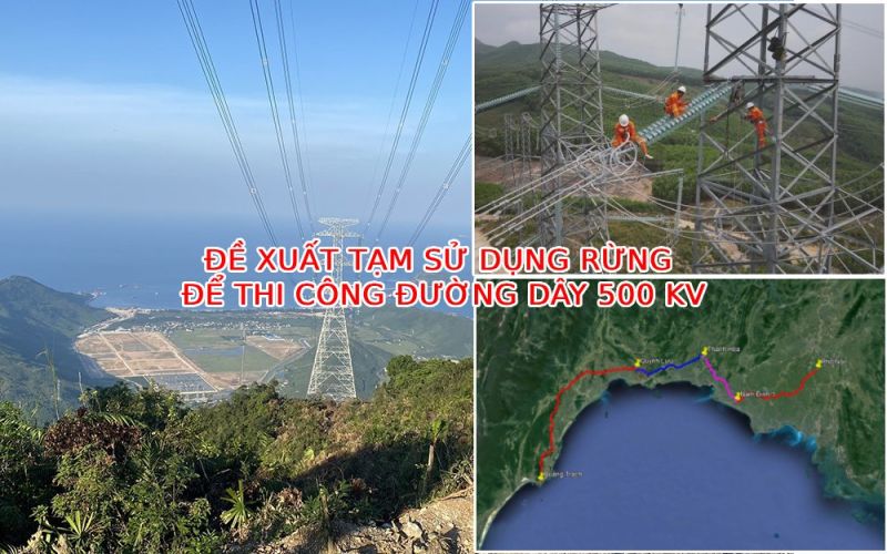 Nghị định tạm sử dụng rừng phục vụ phát triển kinh tế - xã hội vì lợi ích quốc gia có gì mới?