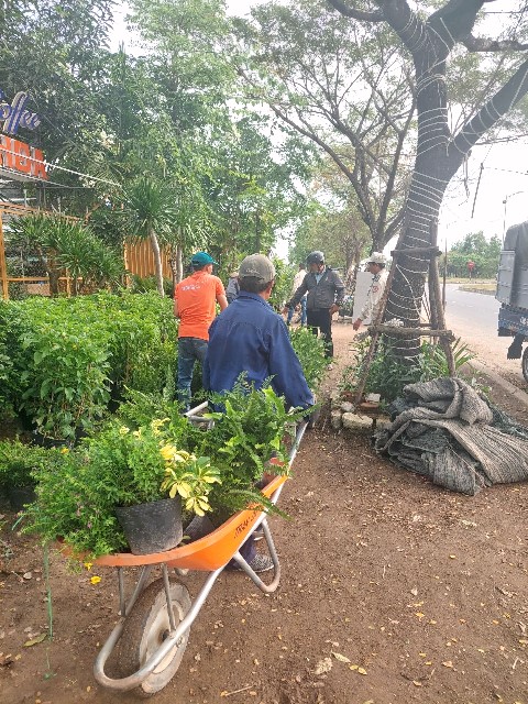 Vườn cây cảnh này đã trưng dụng hết lòng, lề đường của người đi bộ Vườn cây cảnh này đã trưng dụng hết lòng, lề đường của người đi bộ