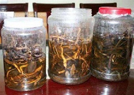 Nghi vấn hai người tử vong sau khi uống rượu ngâm