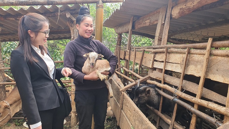 Chị Đỗ Phương Thảo - cán bộ Phòng tín dụng Agribank chi nhánh Thành phố Sơn La đang tư vấn, hỗ trợ bà con dân tộc thiểu số trên địa bàn tỉnh