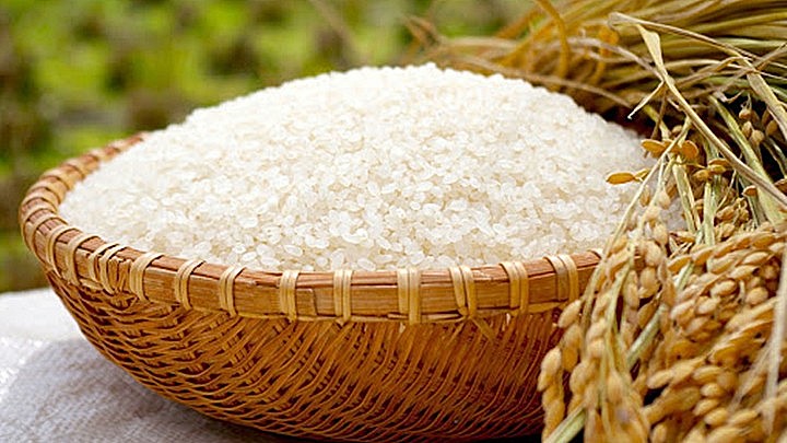 Giá lúa gạo giảm nhưng người nông dân vẫn lãi 60% theo giá thành sản xuất. Ảnh internet.