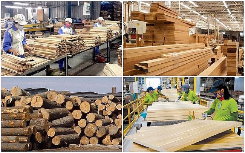 Hội thảo tìm giải pháp phát triển ngành Gỗ và Lâm sản