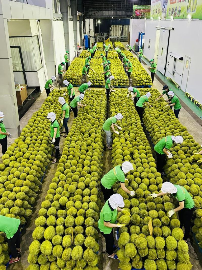 Nhiều mặt hàng nông sản của Việt Nam có kim ngạch xuất khẩu từ 1 tỷ USD trở lên - Ảnh minh họa