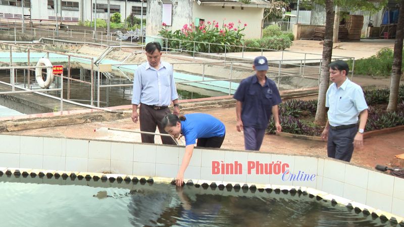 Lợi kép từ kinh tế tuần hoàn