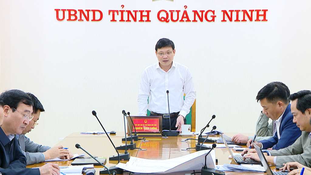 Ông Nghiêm Xuân Cường, Phó Chủ tịch UBND tỉnh Quảng Ninh, phát biểu tại cuộc họp.