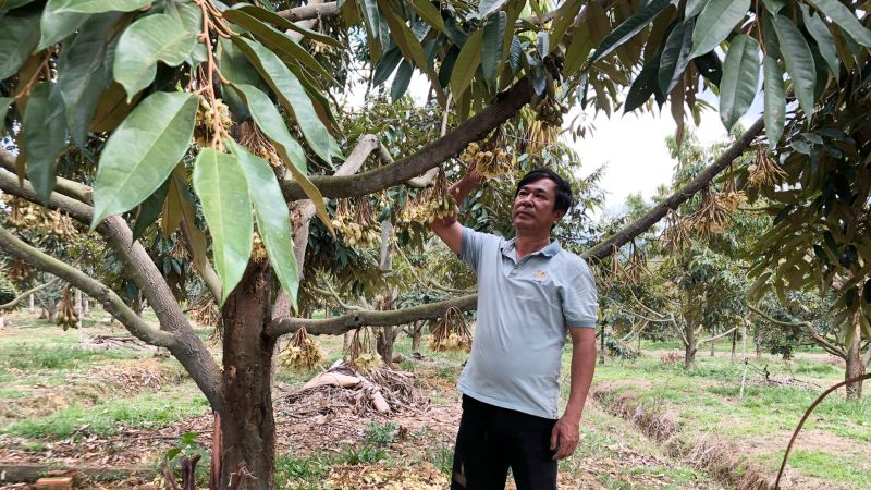 Lâm Đồng: Nông dân vùng sâu xây dựng mã số vùng trồng