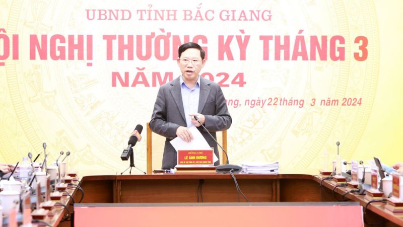 Chủ tịch UBND tỉnh Bắc Giang Lê Ánh Dương phát biểu tại cuộc họp.