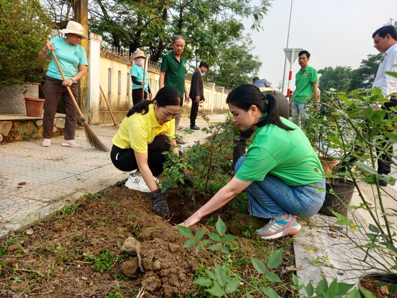 Trồng cây hồng cổ Huế trên đoạn đường Lâm Hoằng- Trường Tiểu học Vỹ Dạ