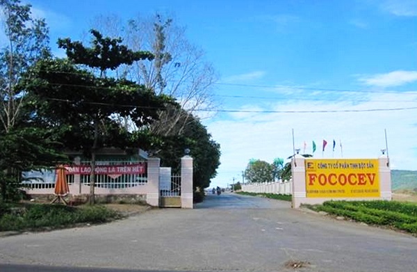 Công ty CP tinh bột sắn (FOCOSEV) Phú Yên