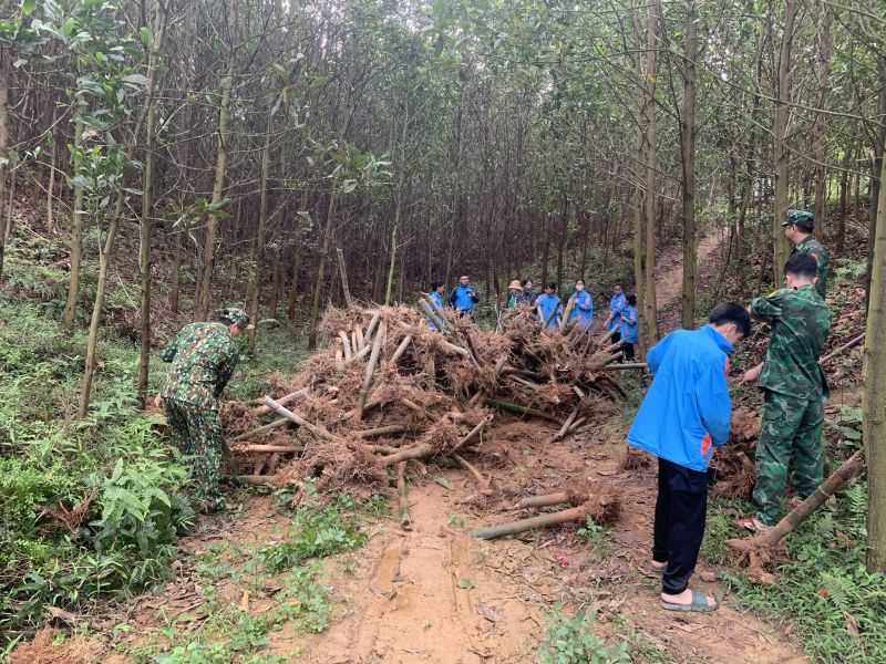 Cán bộ chiến sĩ bộ đội biên phòng tỉnh và đoàn viên, thanh niên trồng tre ở khu vực biên giới xã Xuất Lễ, huyện Cao Lộc