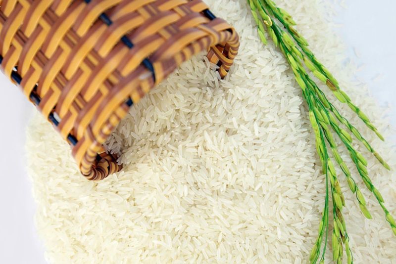 Giá lúa gạo hôm nay tiếp tục đà giảm. (Ảnh minh họa)