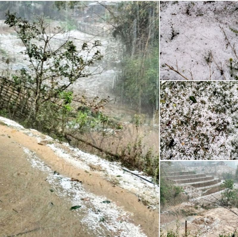 Yên Bái yêu cầu chủ động ứng phó dông, lốc, sét và gió giật mạnh