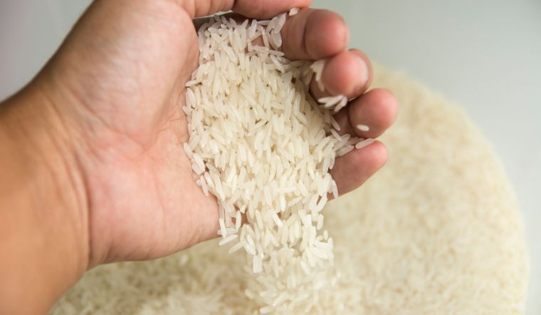Giá lúa gạo hôm nay tiếp tục giảm với gạo (Ảnh minh hoạ)