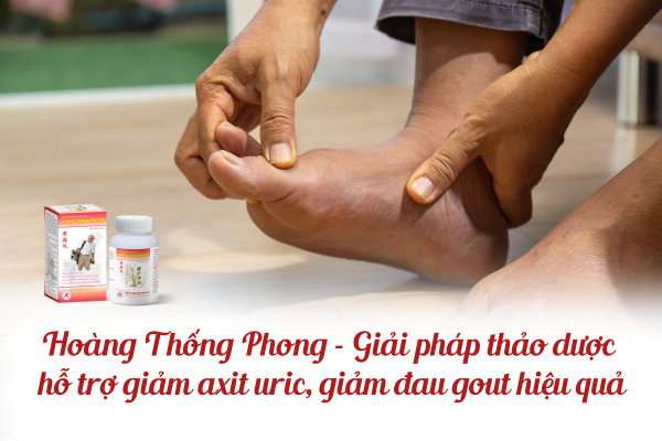 Hoàng Thống Phong - Giải pháp thảo dược hỗ trợ giảm axit uric, giảm đau gout hiệu quả