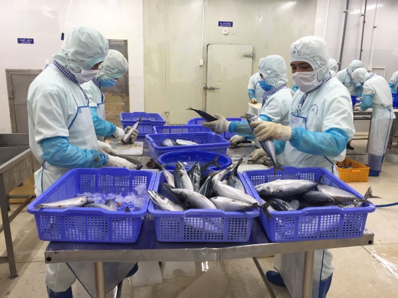 Làm thế nào để duy trì thị trường nhập khẩu nhiều thủy sản Việt Nam?