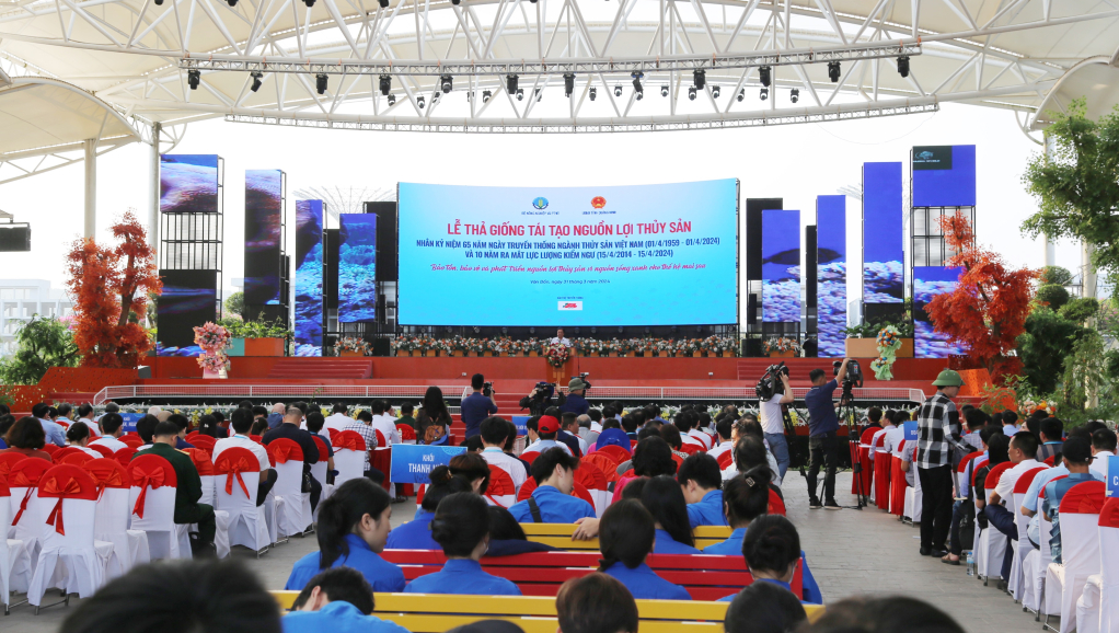 Quảng Ninh thả 5 triệu con giống xuống vịnh Bắc Bộ