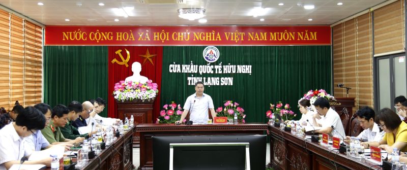 Phó Chủ tịch UBND tỉnh Lạng Sơn Đoàn Thanh Sơn phát biểu chỉ đạo tại buổi làm việc