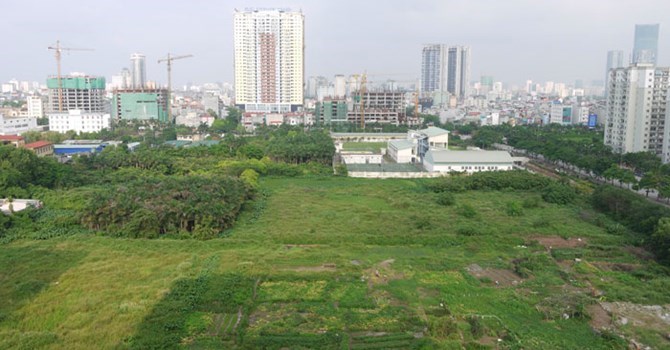 Năm 2024 Hà Nội bổ sung danh mục 27 dự án chuyển mục đích sử dụng đất trồng lúa (Ảnh minh hoạ)